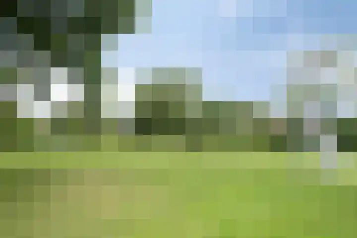 Dammolen 124 Harmelen thumbnail 37