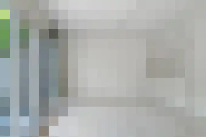 Dammolen 124 Harmelen thumbnail 4