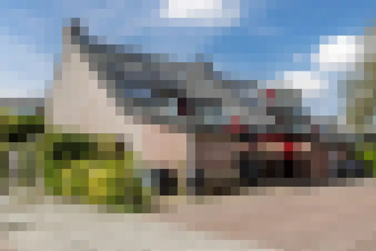 Dammolen 130 Harmelen thumbnail 45