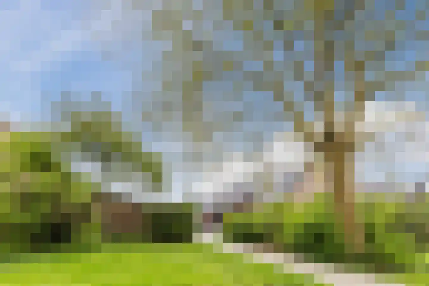 Dammolen 130 Harmelen thumbnail 46