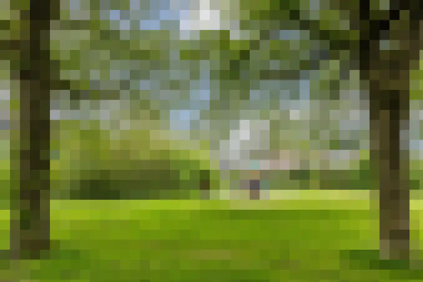 Dammolen 130 Harmelen thumbnail 48