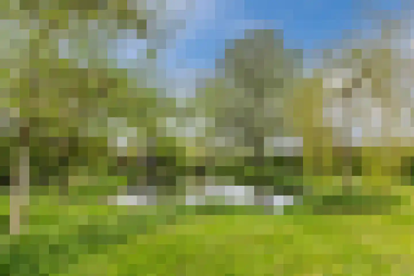 Dammolen 130 Harmelen thumbnail 49