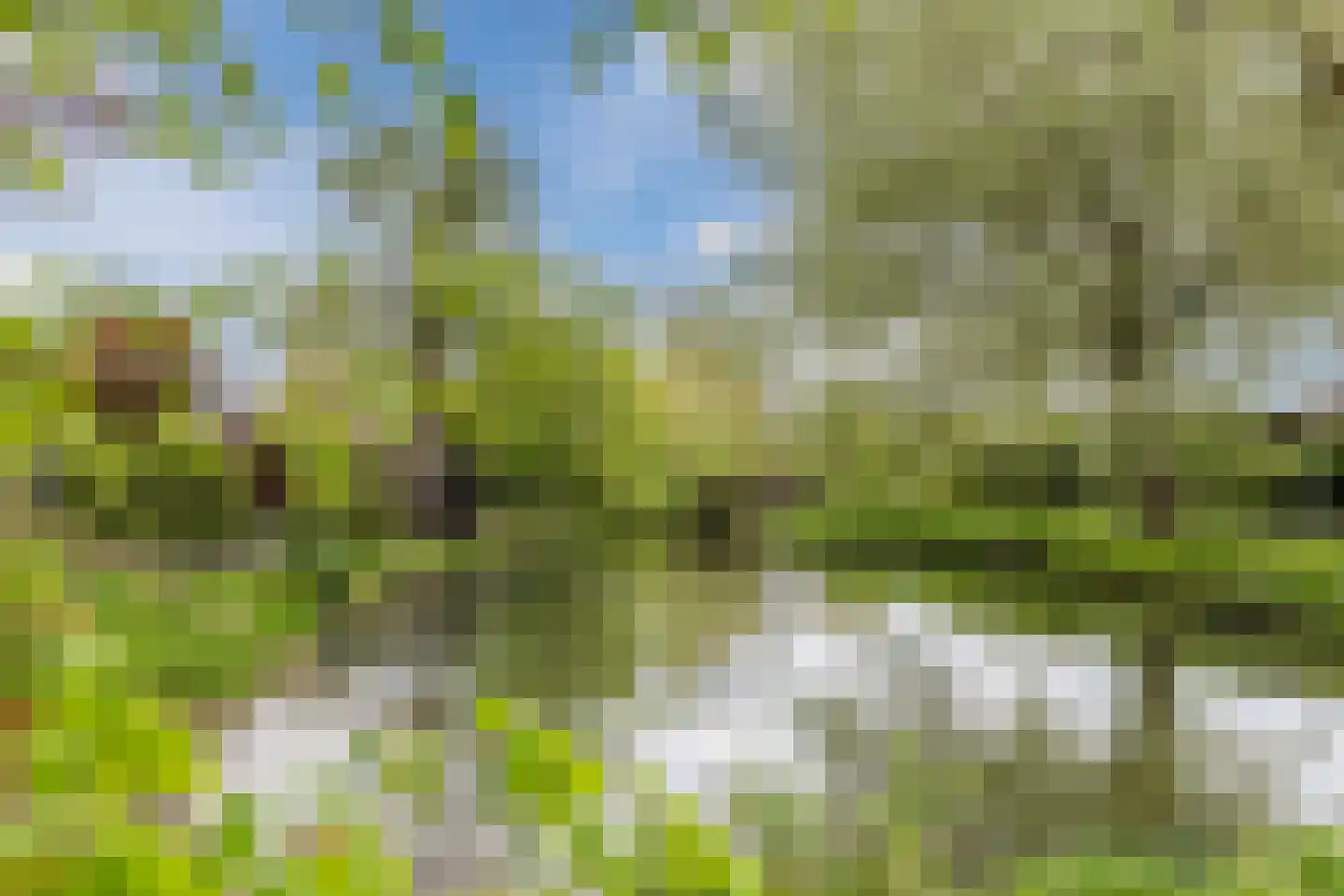 Dammolen 130 Harmelen thumbnail 50