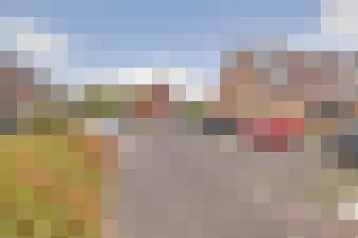 Dammolen 53 Vianen thumbnail 34