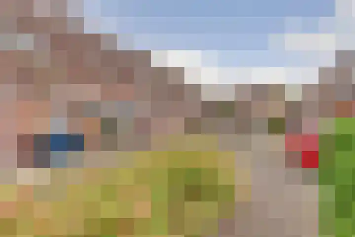 Dammolen 53 Vianen thumbnail 35