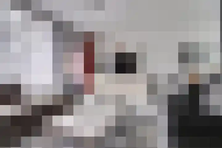 Dammolen 53 Vianen thumbnail 8