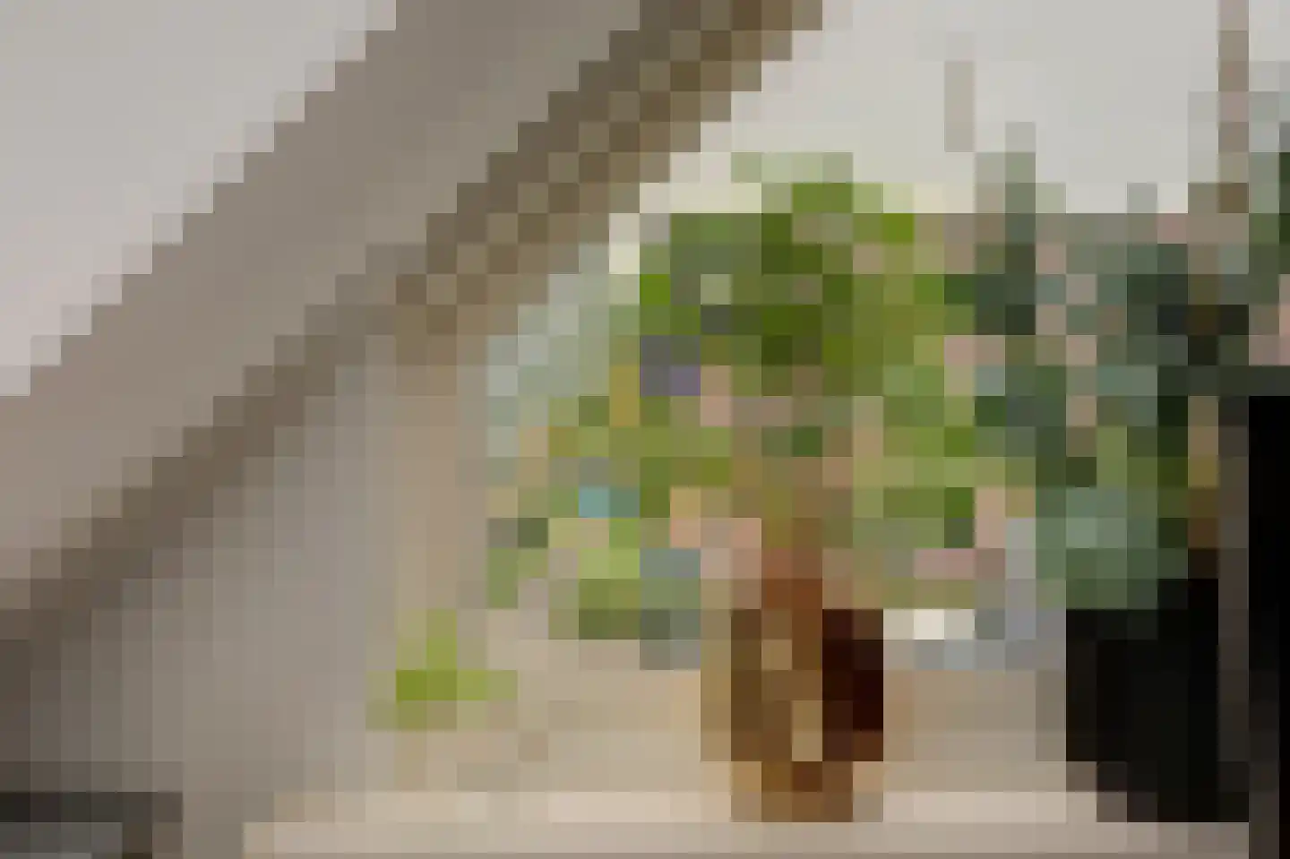 Dammolen 57 Vianen thumbnail 31