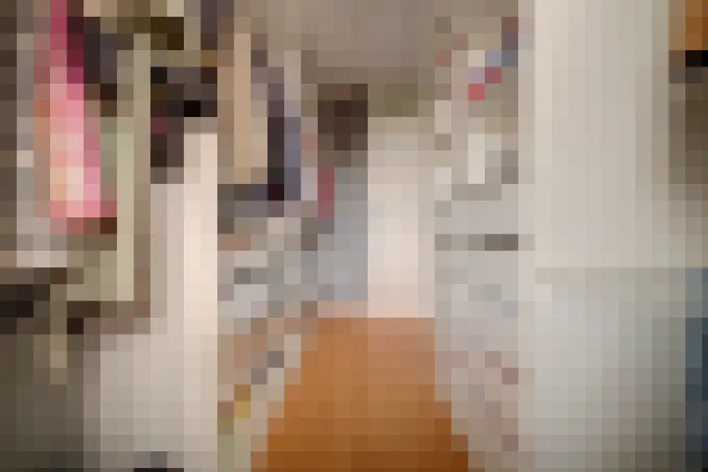 Dammolen 57 Vianen thumbnail 33