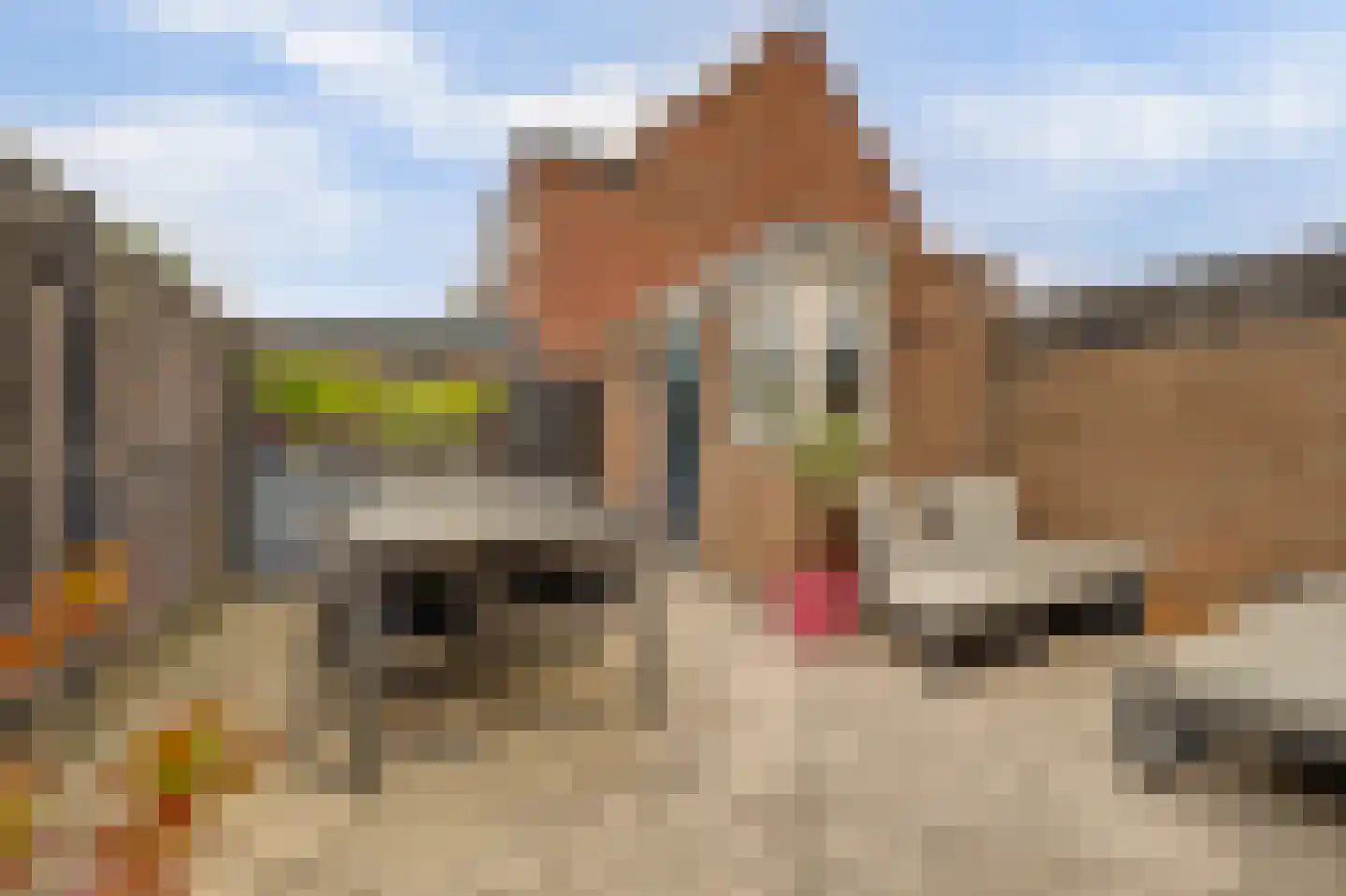 Dammolen 57 Vianen thumbnail 41