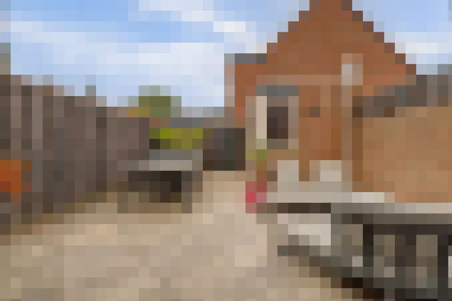 Dammolen 57 Vianen thumbnail 42