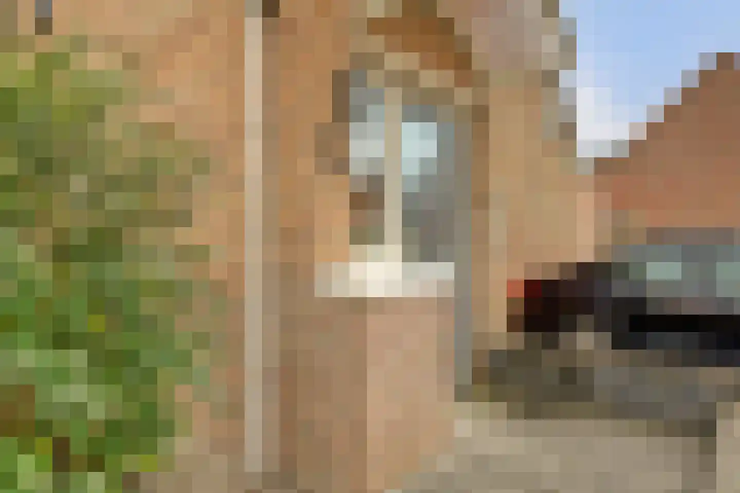 Dammolen 57 Vianen thumbnail 8
