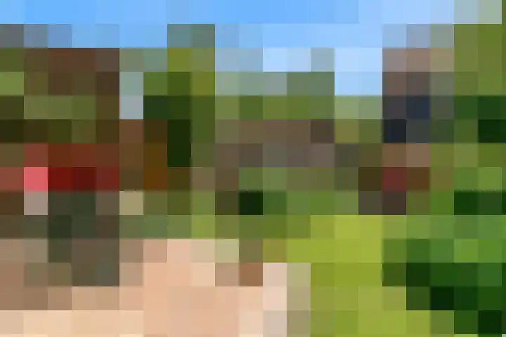 Dammolen 67 Harmelen thumbnail 28
