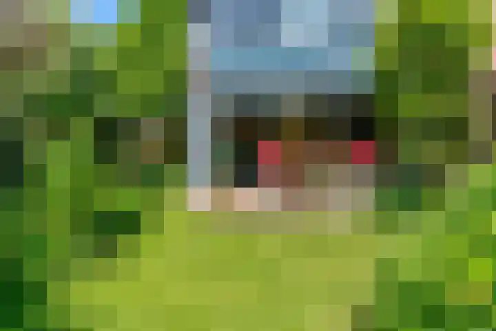 Dammolen 67 Harmelen thumbnail 29