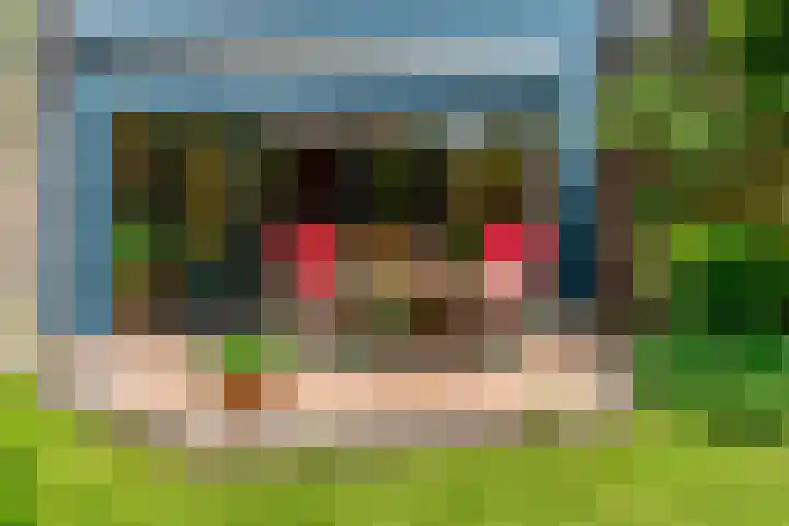Dammolen 67 Harmelen thumbnail 30
