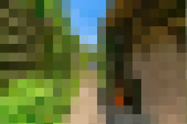 Dammolen 67 Harmelen thumbnail 32
