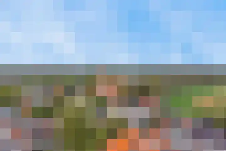Dammolen 67 Harmelen thumbnail 43