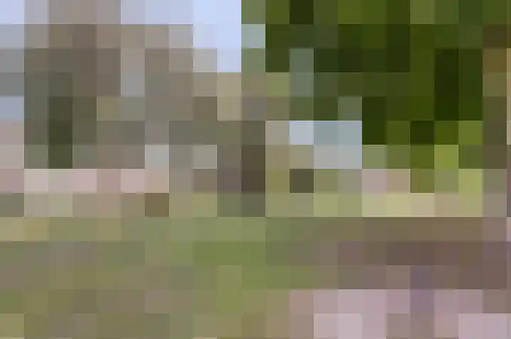 Dammolen 79 Vianen thumbnail 31