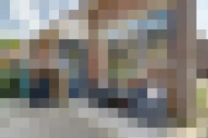 Dammolen 79 Vianen thumbnail 6