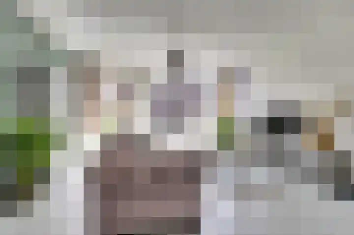 Dammolen 79 Vianen thumbnail 7