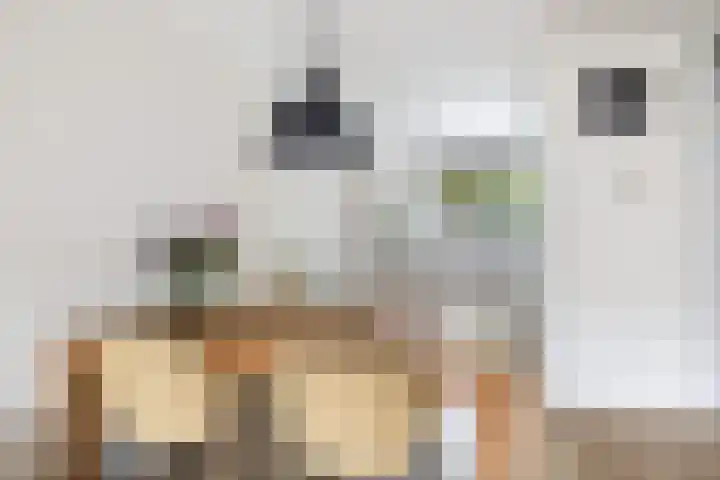 Dampkring 12 De Meern thumbnail 11