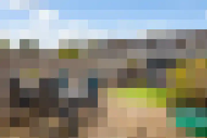 Dampkring 12 De Meern thumbnail 26