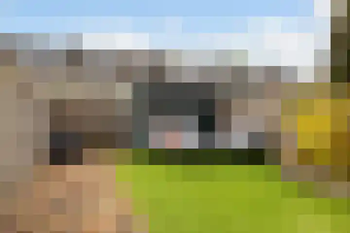 Dampkring 12 De Meern thumbnail 27