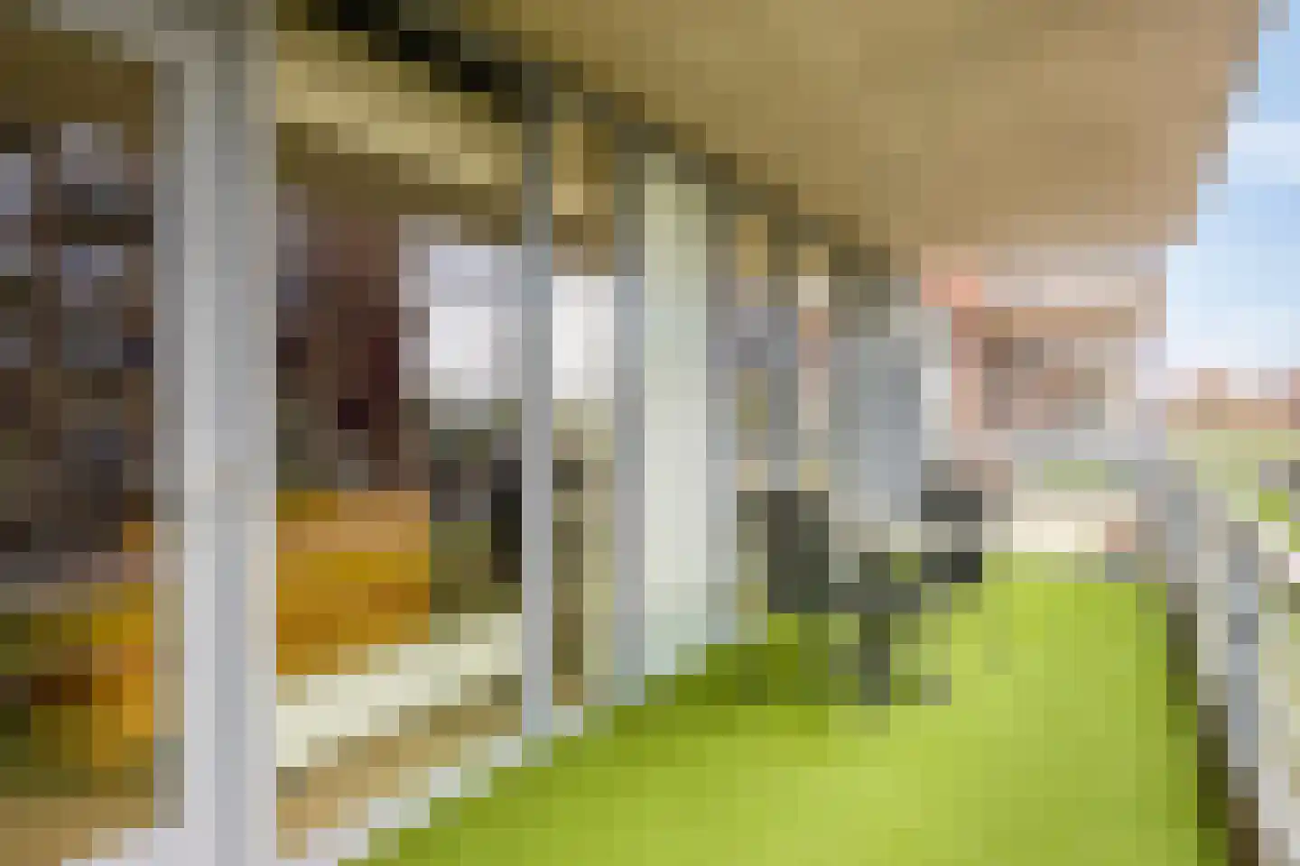 Dampkring 13 Heerhugowaard thumbnail 33