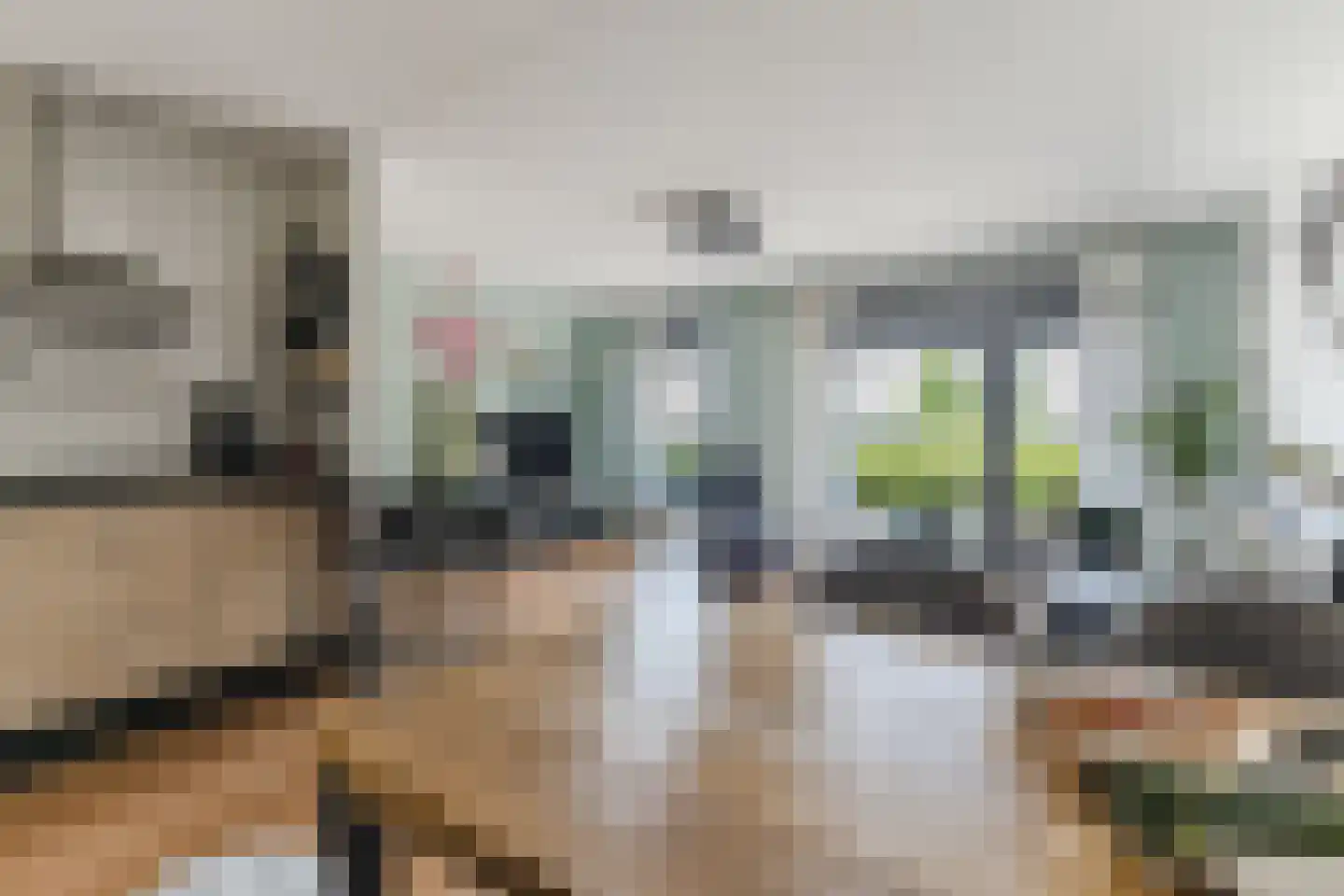 Dampkring 5 Heerhugowaard thumbnail 13