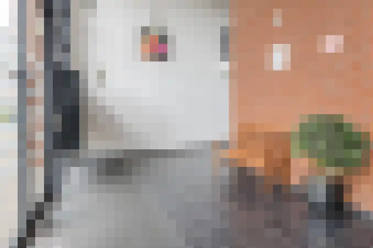 Dampkring 5 Heerhugowaard thumbnail 32