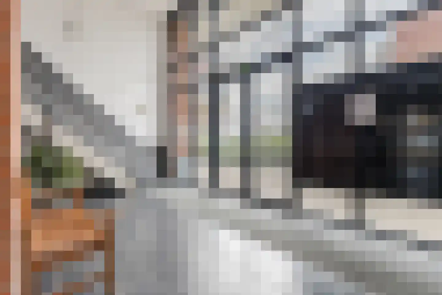Dampkring 5 Heerhugowaard thumbnail 33