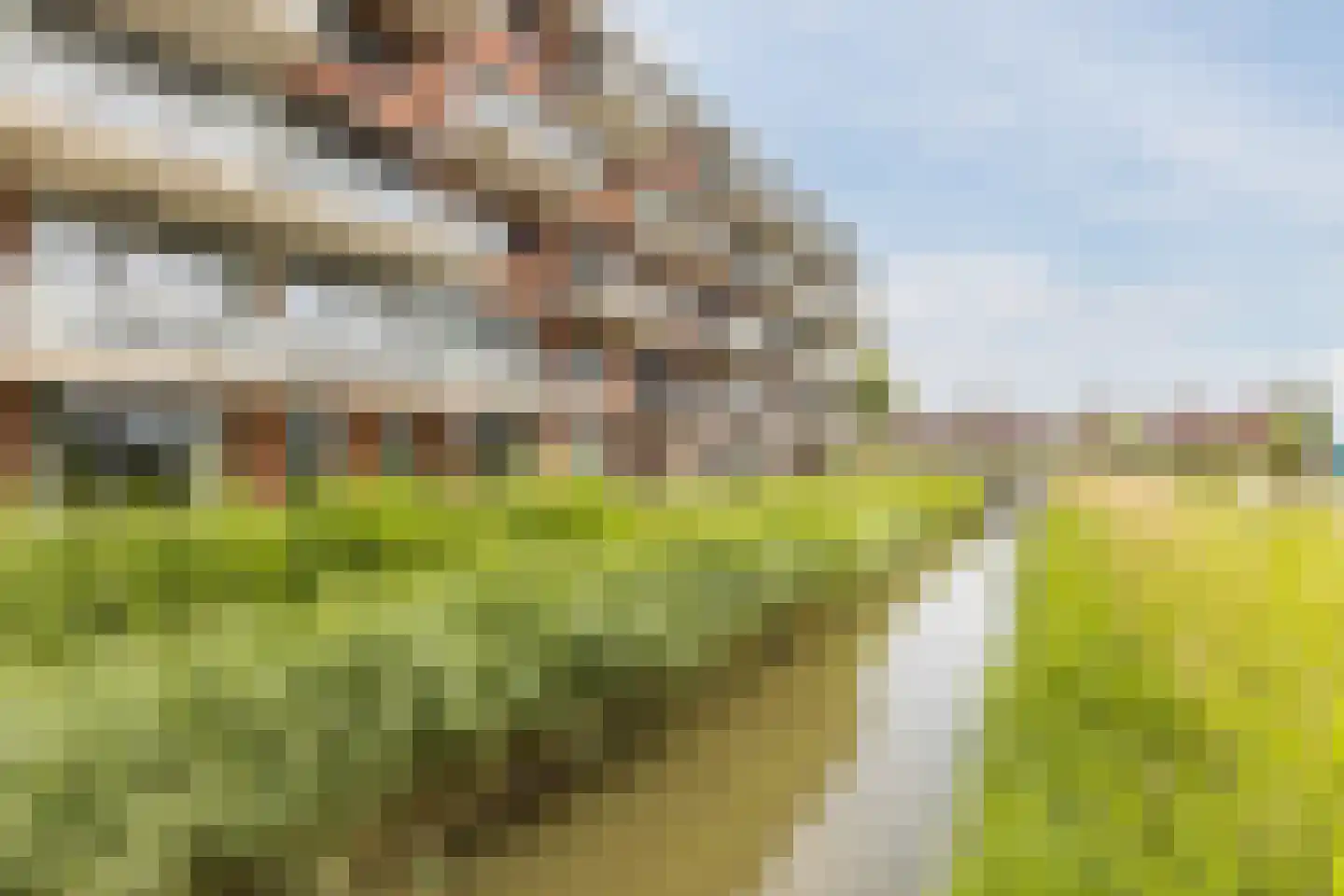 Dampkring 5 Heerhugowaard thumbnail 37