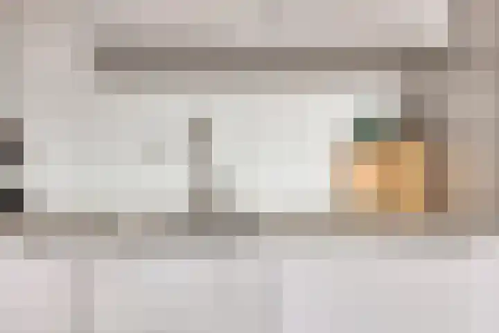 Dampkring 7 Heerhugowaard thumbnail 21