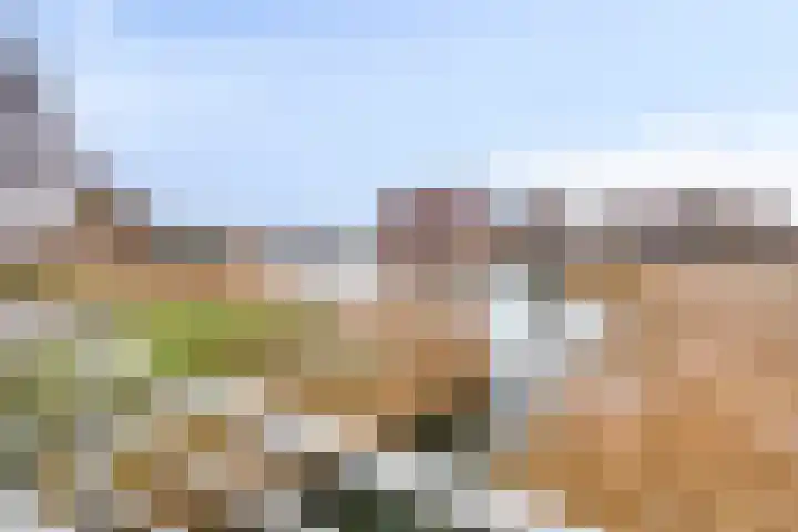 Dampkring 7 Heerhugowaard thumbnail 30