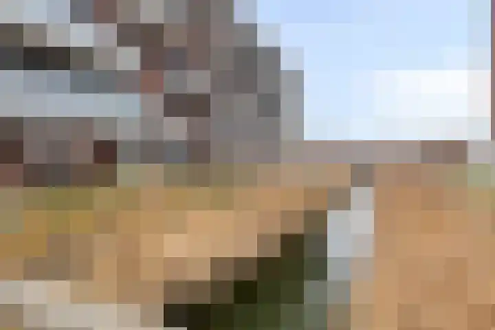 Dampkring 7 Heerhugowaard thumbnail 8