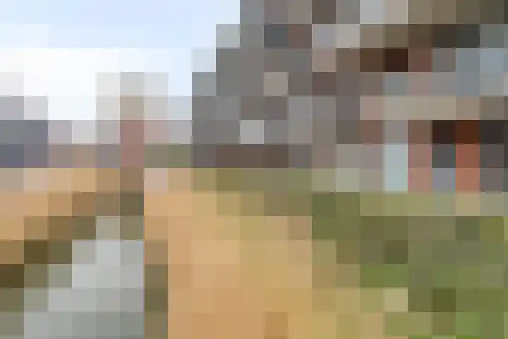 Dampkring 7 Heerhugowaard thumbnail 9