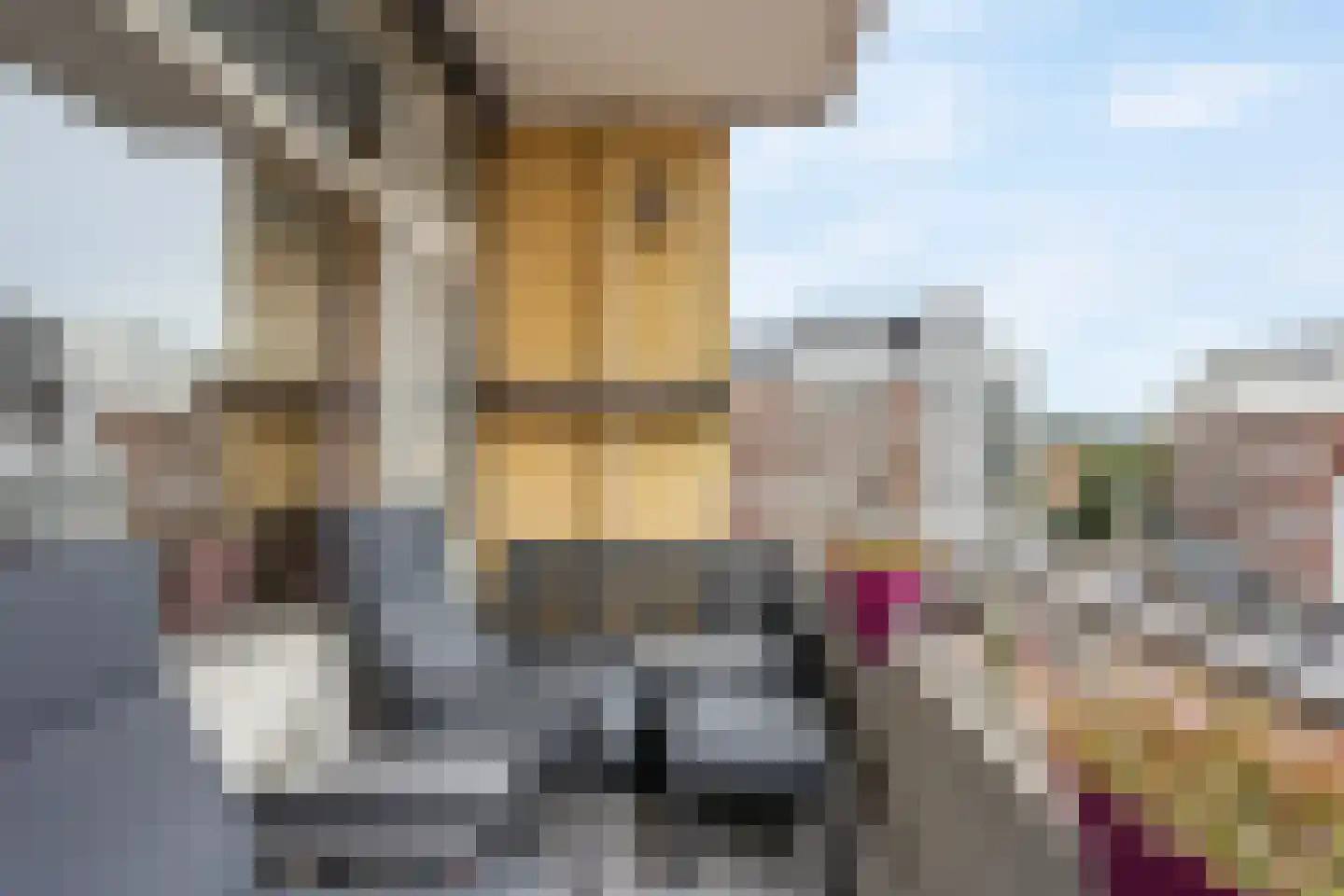Damplein 13 Leidschendam thumbnail 18