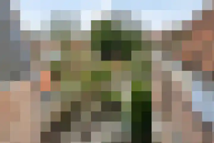 Damplein 28 Middelburg thumbnail 23