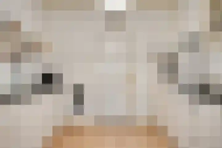 Damplein 28 Middelburg thumbnail 7