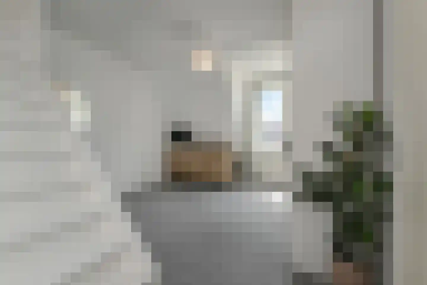 Damplein 82 Leidschendam thumbnail 18