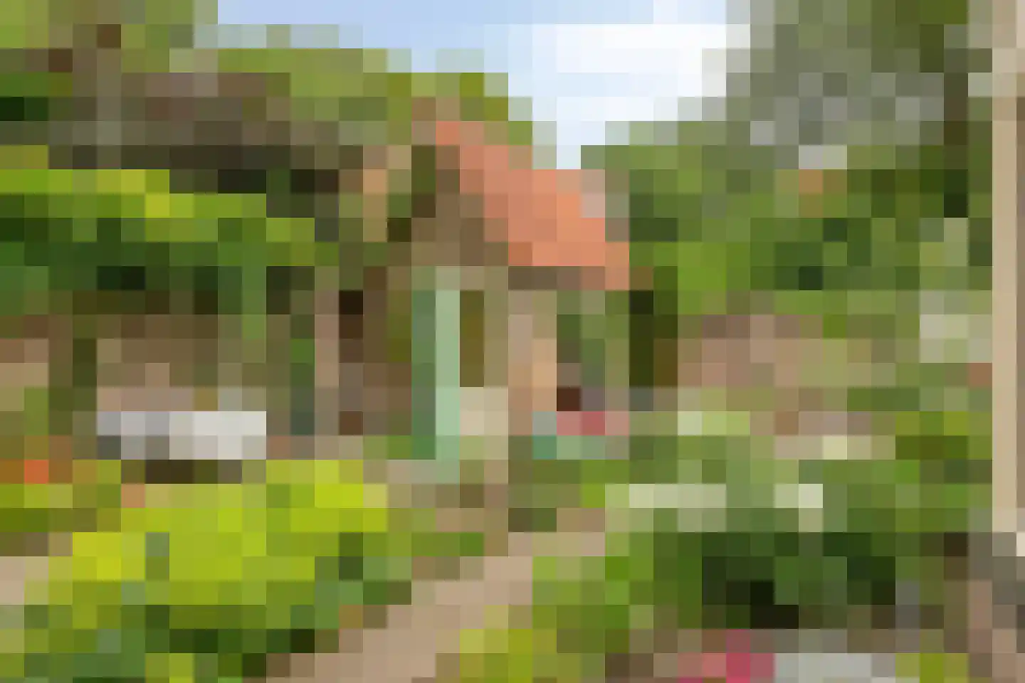Dampoortstraat 1 Middelburg thumbnail 21