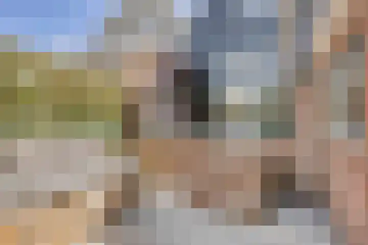 Dampoortweg 3 Middelburg thumbnail 19
