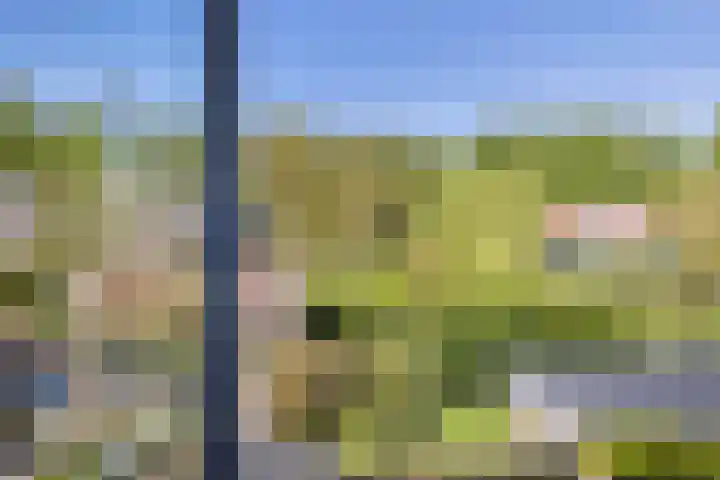 Dampoortweg 3 Middelburg thumbnail 33