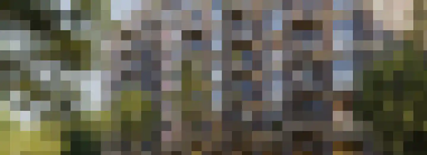 Dampten 14 Hoorn thumbnail 18