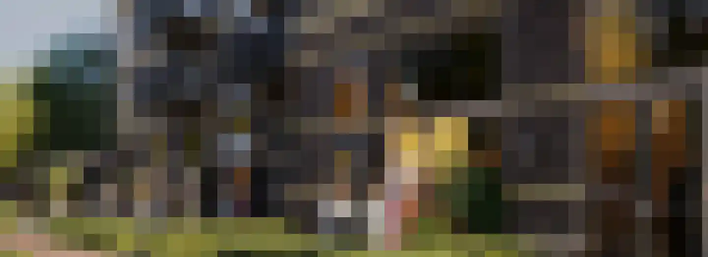Dampten 2 Hoorn thumbnail 13
