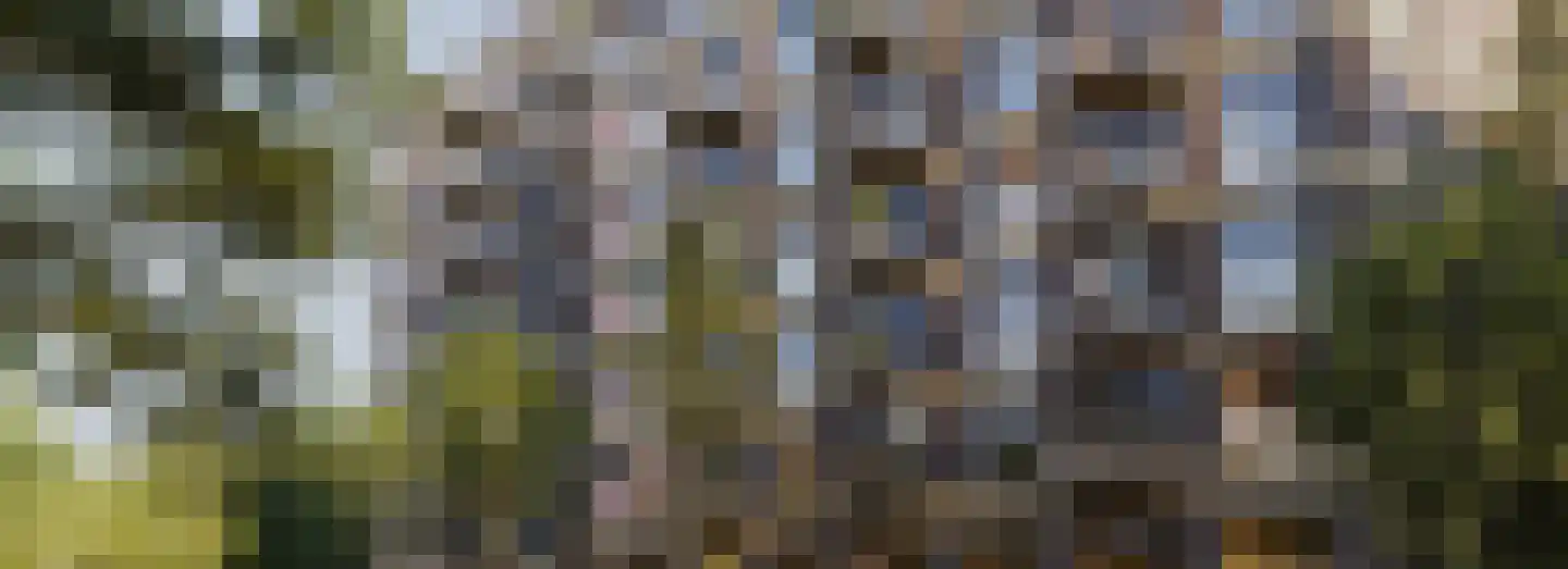 Dampten 2 Hoorn thumbnail 18