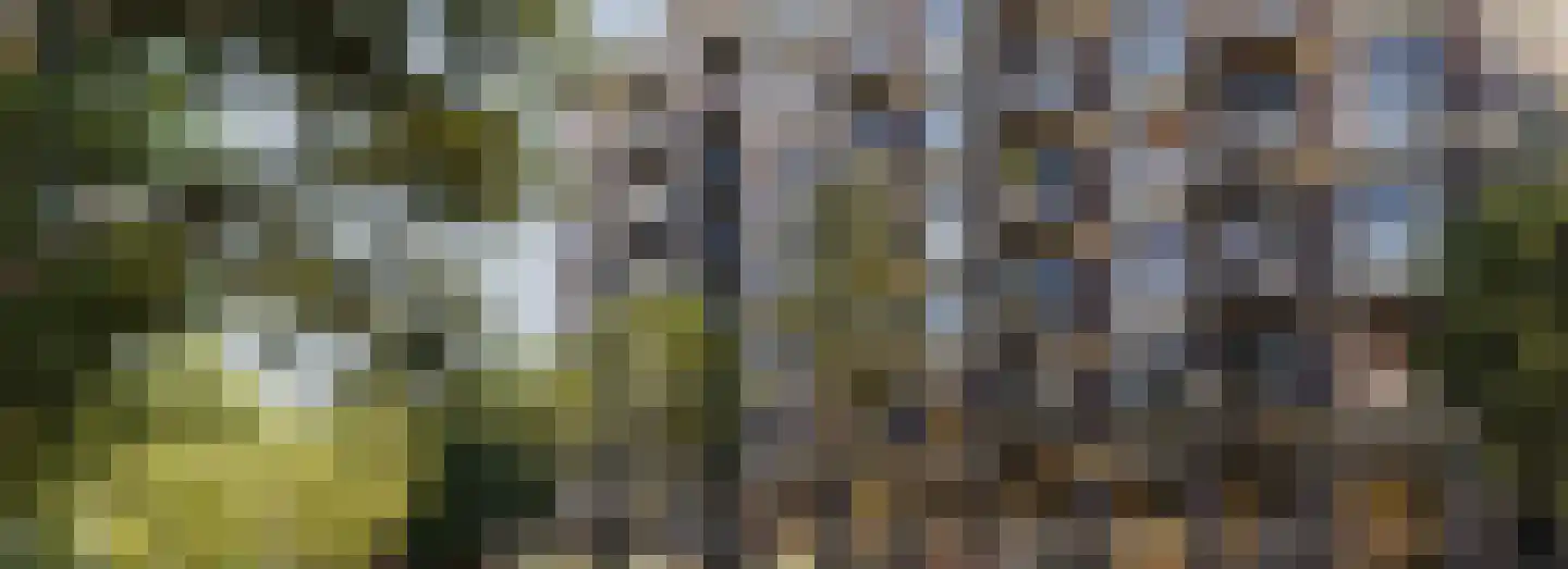 Dampten 2 Hoorn thumbnail 20
