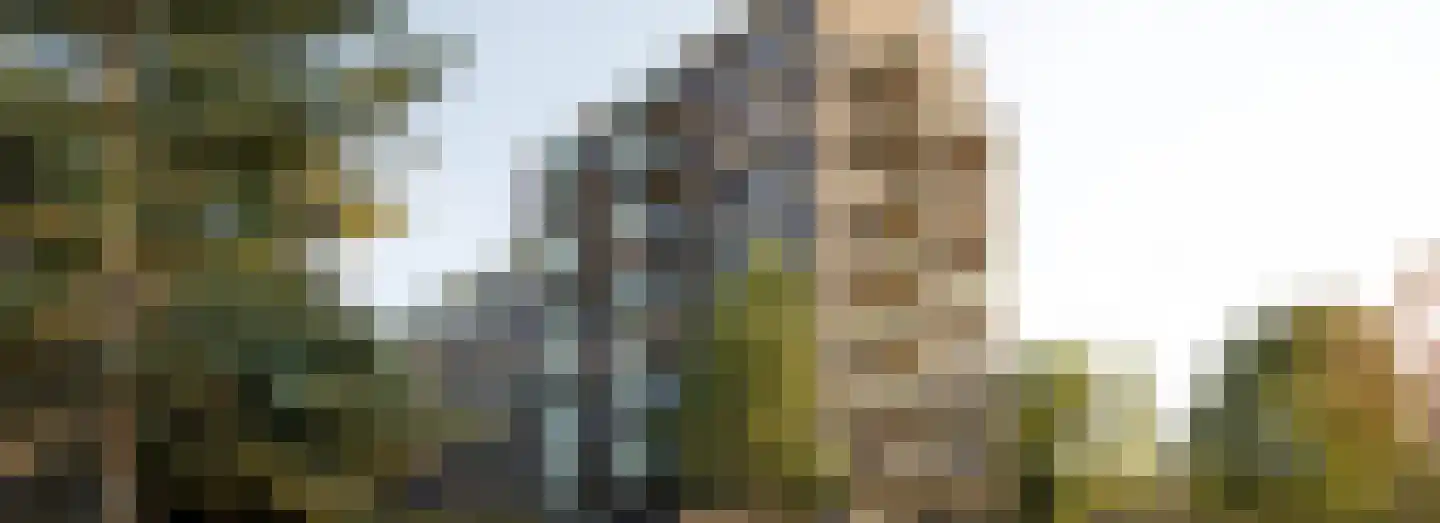 Dampten 2 Hoorn thumbnail 22