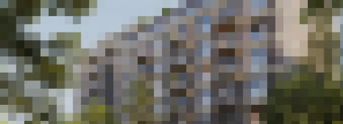 Dampten 4 Hoorn thumbnail 27