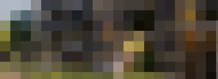 Dampten 6 Hoorn thumbnail 13
