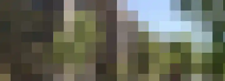 Dampten 6 Hoorn thumbnail 19